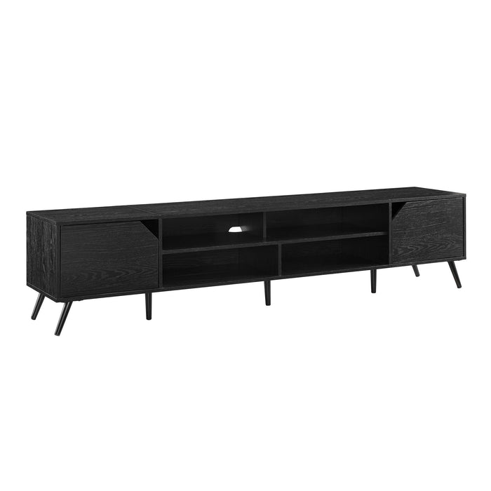 Contemporary 2 Door Minimalist TV Stand