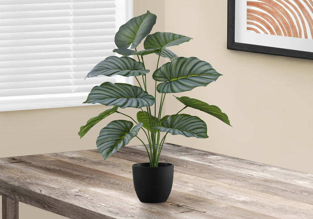 24" Tall, Artificial Plant, Calathea, Indoor, Faux, Fake, Table, Greenery, Potted, Real Touch, Decorative - Green / Black