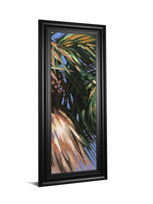 Wild Palm Il By Suzanne Wilkins - Framed Print Wall Art - Green