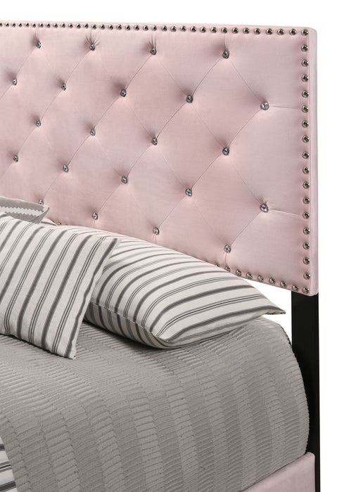Glory Furniture Suffolk Upholstery Full Bed, Pink