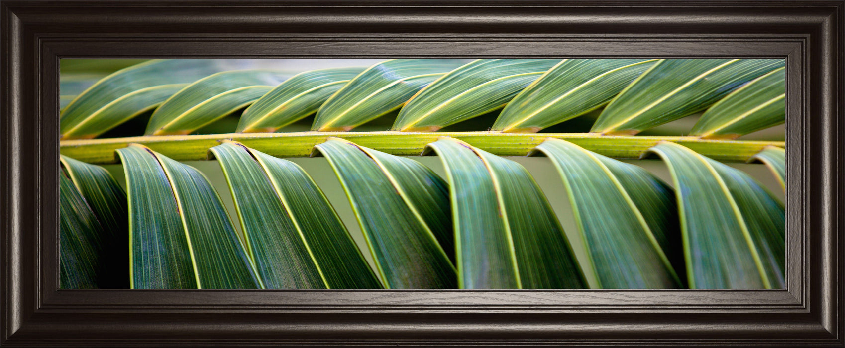 Palma I By Susan Bryant - Framed Print Wall Art - Green