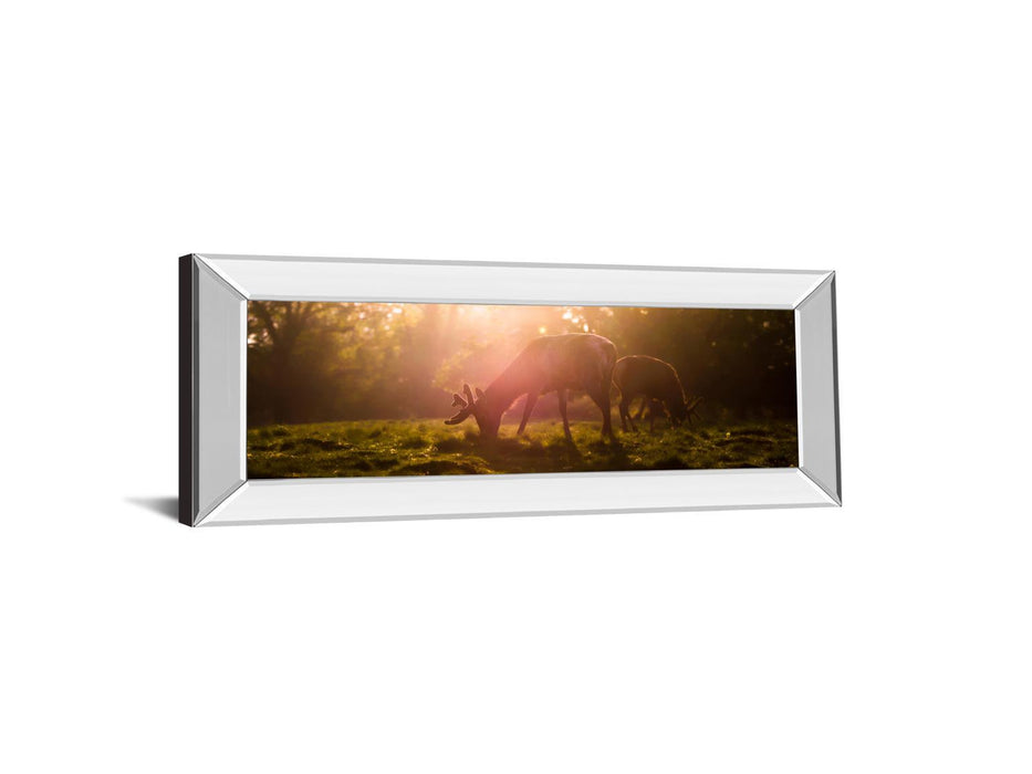 Morning Haze By Joe Reynolds - Print Wall Art - Dark Brown