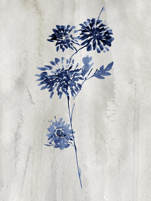 Framed Small - Indigo Botanical Iv By Conrad Knutsen - Gray