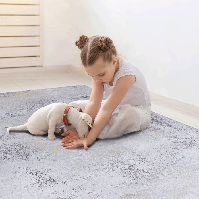 2' x 3' Machine Washable Area Rugs, Low-Pile, Non-Slip, Non-Shedding, Foldable, Kid & Pet Friendly - Gray / Gold