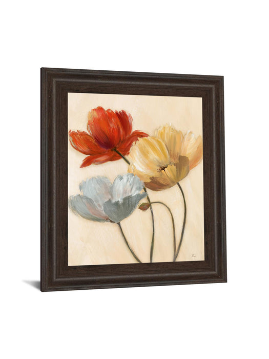 Poppy Palette Il By Nan - Framed Print Wall Art - Red